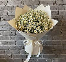 Букет цветов из:  Ромашки #REPLACE_PRED# Среднем Подкумке