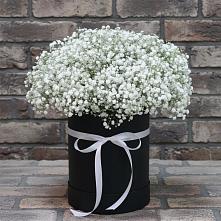 Цветочная композиция из Гипсофила в шляпной коробке #REPLACE_PRED# Среднем Подкумке